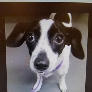 Meet your Posher, Aimee